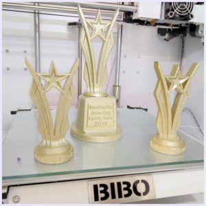 BIBO2 Touch Laser X 3D Print Sample