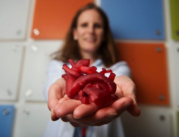 3d print Organs